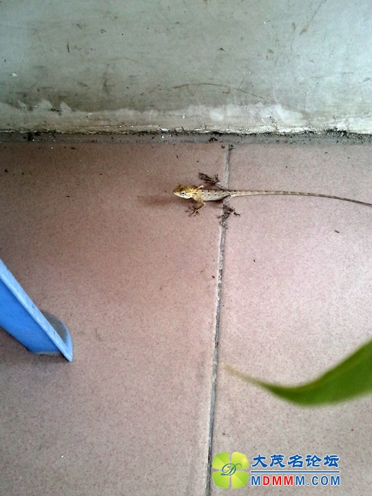 WP_001630.jpg
