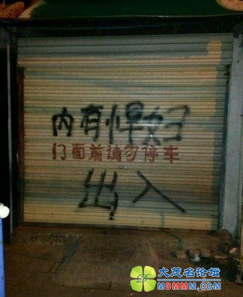 image.jpg