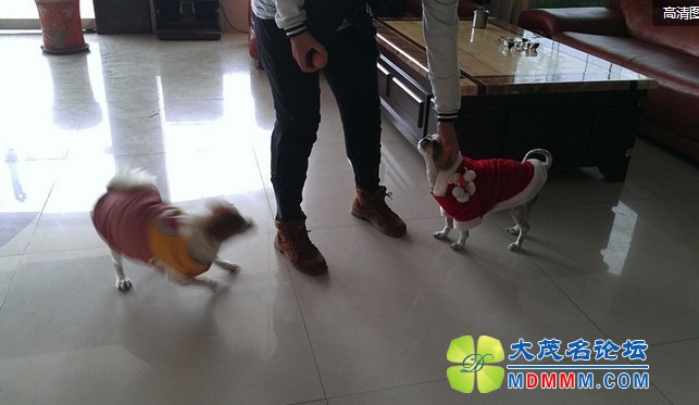 QQͼƬ20131126205241.jpg