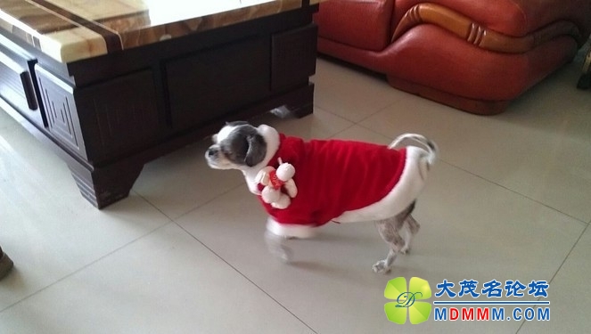 QQͼƬ20131126205303.jpg