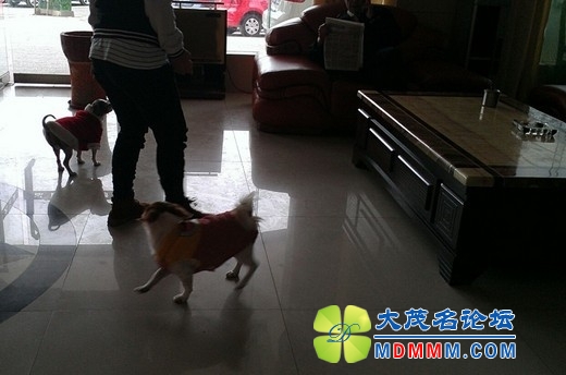 QQͼƬ20131126205335.jpg
