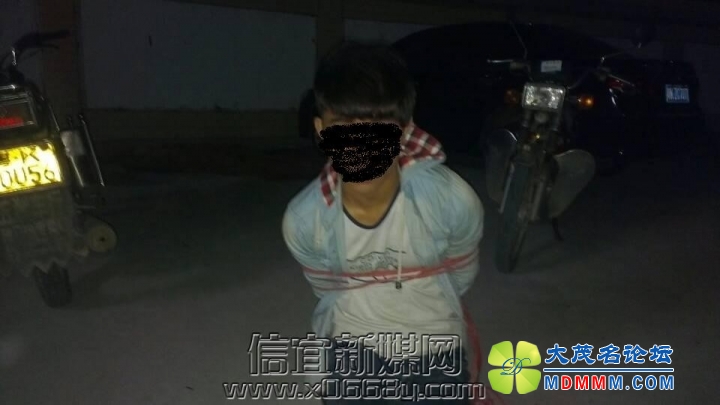 085340szzchtv00ilt1glf.jpg