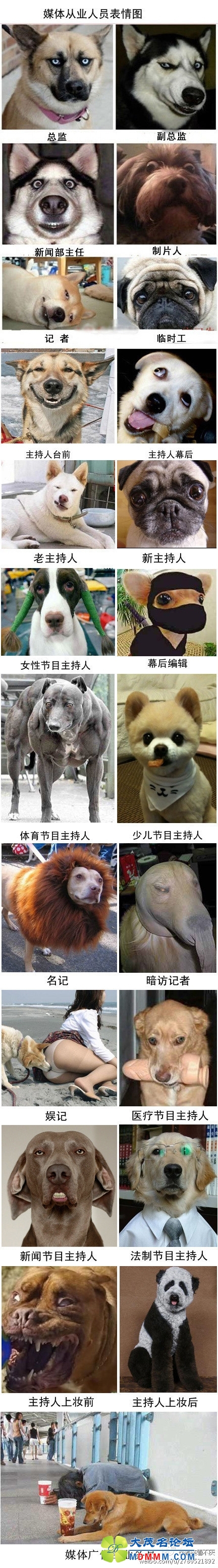 ýҵԱͼ.jpg
