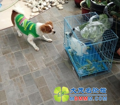 QQͼƬ20131127235443.jpg
