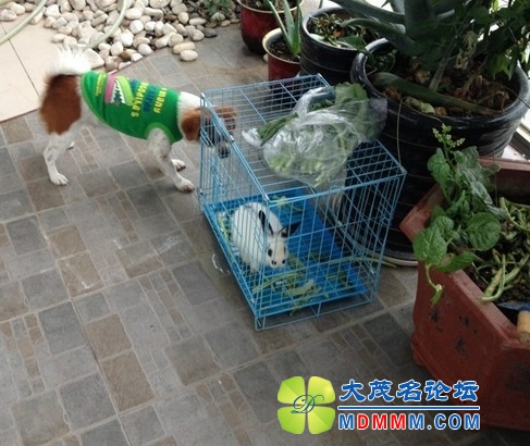 QQͼƬ20131127235510.jpg