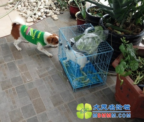 QQͼƬ20131127235534.jpg