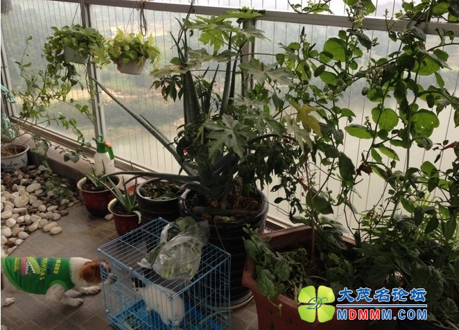 QQͼƬ20131127235559.jpg