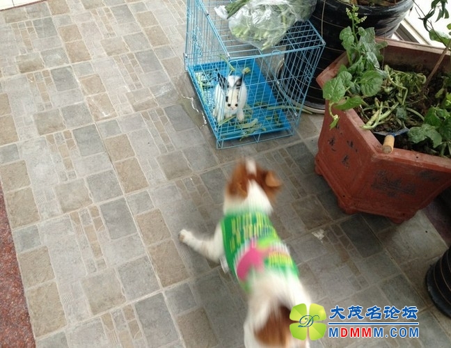 QQͼƬ20131127235640.jpg