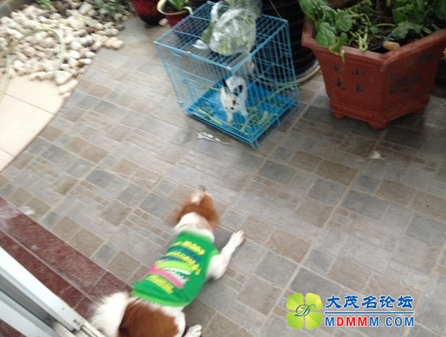 QQͼƬ20131127235703.jpg