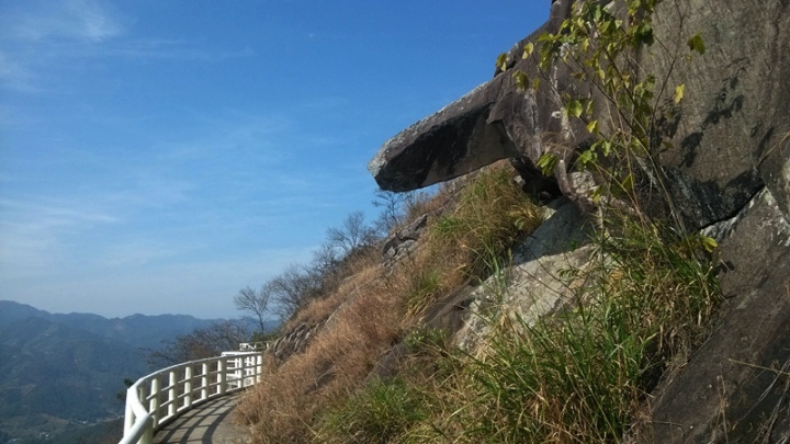 IMG_20131126_110134.jpg