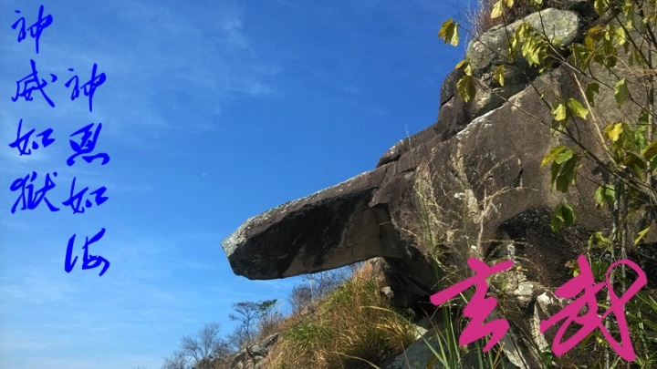IMG_20131126_110105.jpg