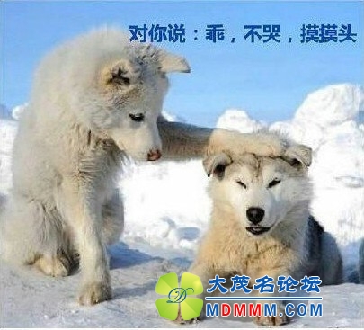 QQͼƬ20131130150357.jpg
