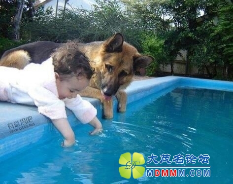 QQͼƬ20131130150243.jpg