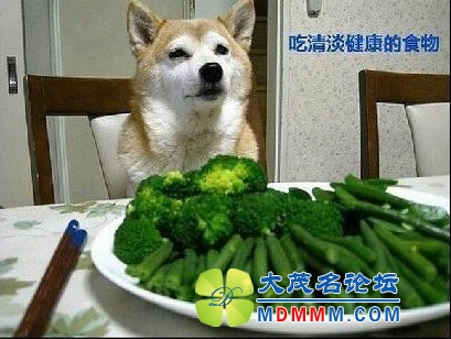 QQͼƬ20131130150040.jpg