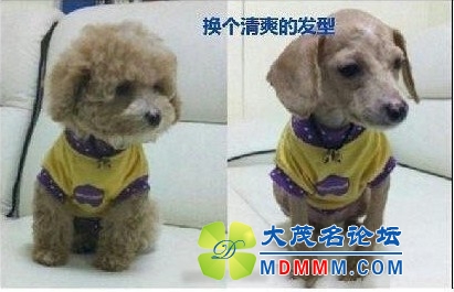 QQͼƬ20131130150012.jpg