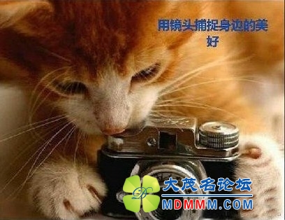 QQͼƬ20131130150000.jpg