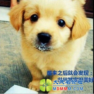 QQͼƬ20131130145921.jpg