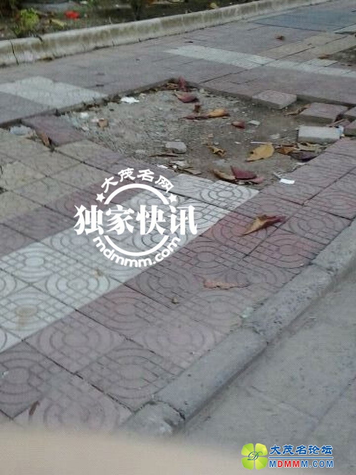 QQͼƬ20131201104414.jpg