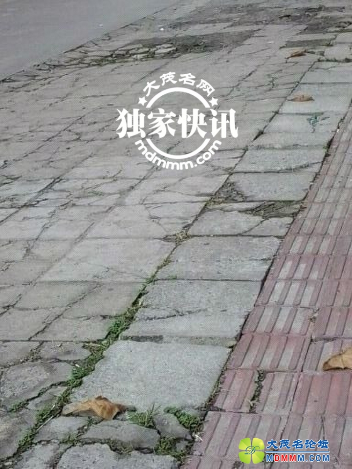 QQͼƬ20131201104435.jpg