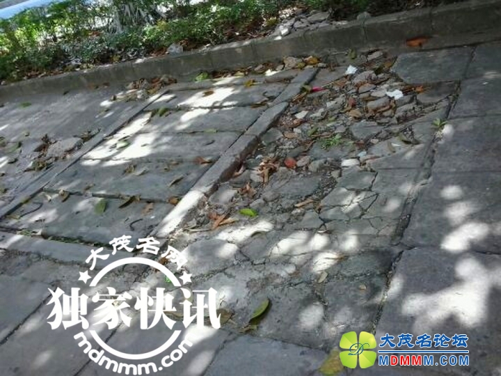 QQͼƬ20131201132206.jpg