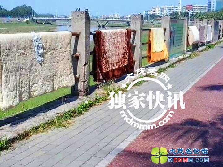 QQͼƬ20131201131858.jpg