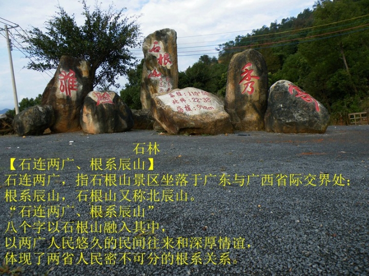 1.JPG