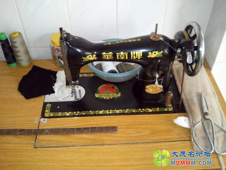 WP_001995.jpg