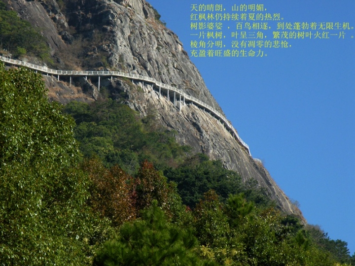 1.JPG