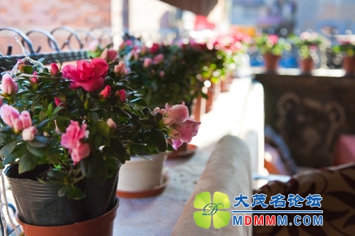 2013102240268829.jpg