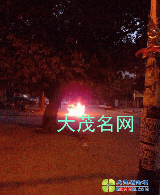 212727l1ar8048zo10jsh4_.gif