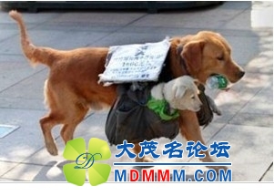 QQͼƬ20131205132922.jpg