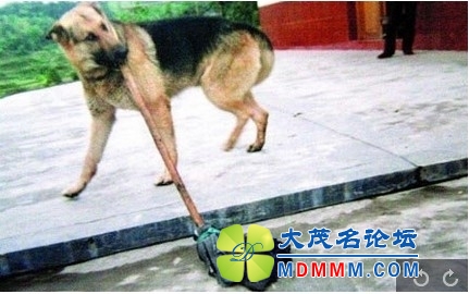QQͼƬ20131205181207.jpg