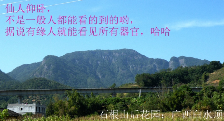 DSCF9317.JPG