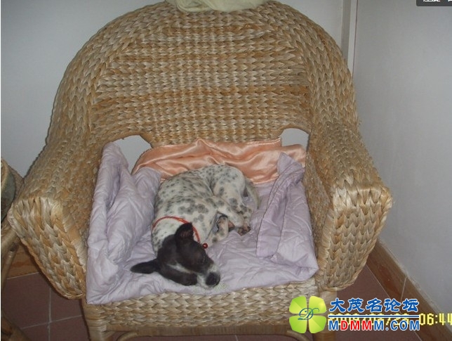 QQͼƬ20131208135236.jpg