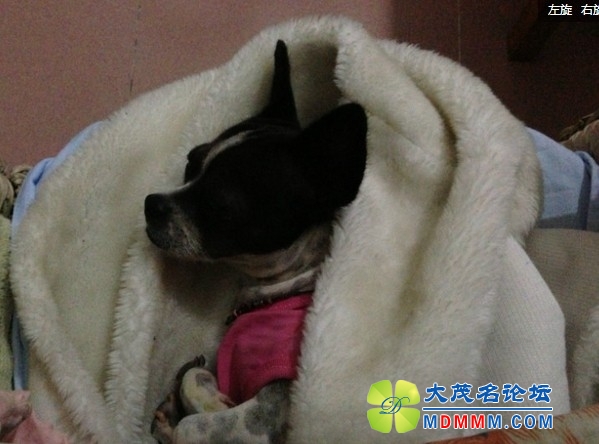 QQͼƬ20131208135349.jpg