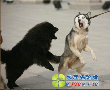 QQͼƬ20131206132255.jpg