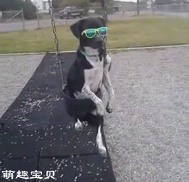QQͼƬ20131206132602.gif