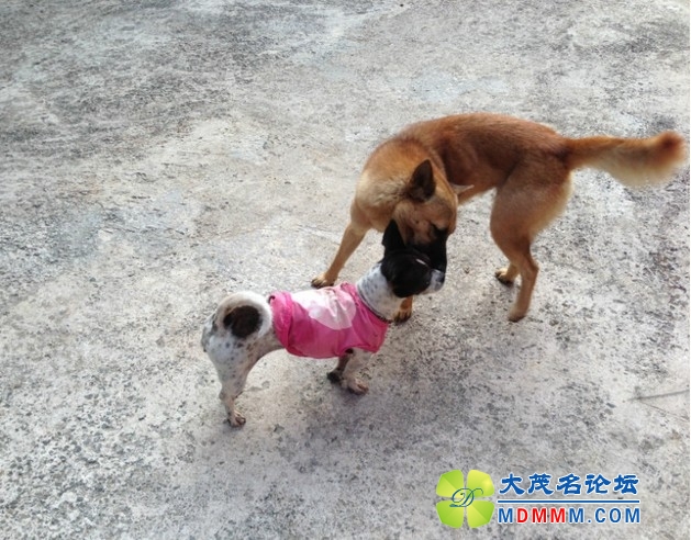 QQͼƬ20131208142623.jpg