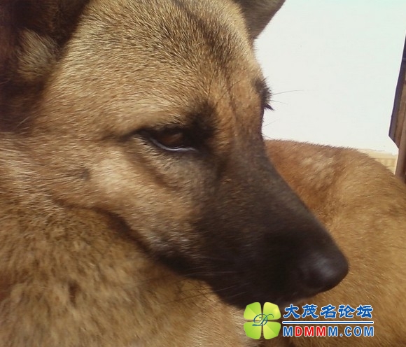 QQͼƬ20131208142856.jpg