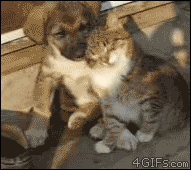 QQͼƬ20131208150943.gif