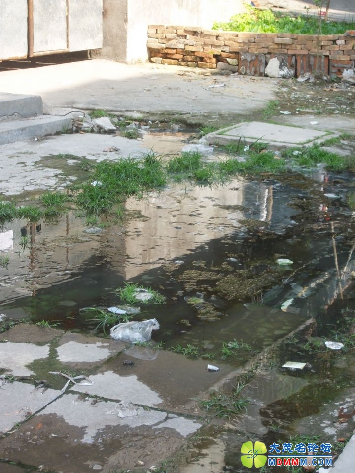 ALIM0797.JPG