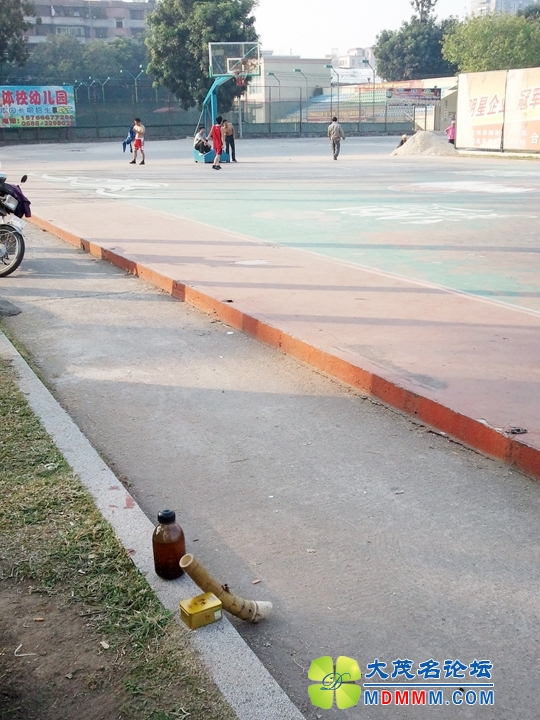 WP_002042.jpg