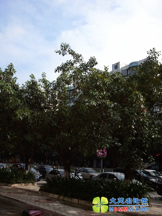 WP_002113.jpg