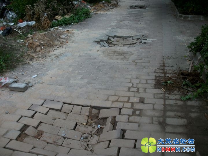 ALIM0826.JPG