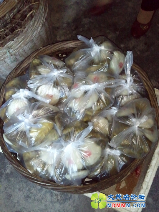WP_002208.jpg