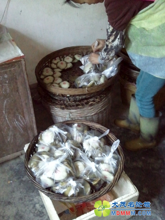 WP_002178.jpg