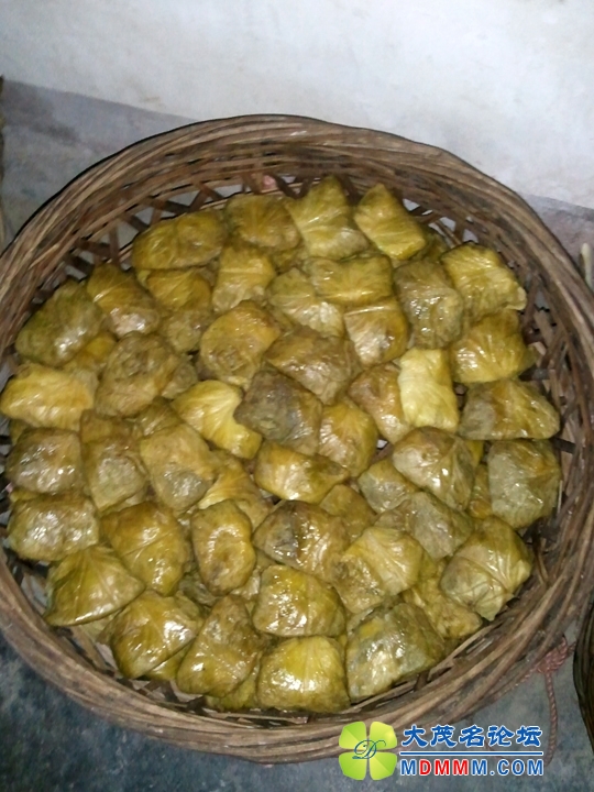 WP_002206.jpg