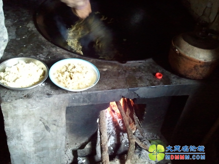WP_002198.jpg