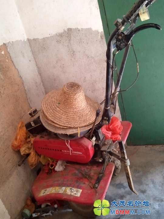 WP_002184.jpg