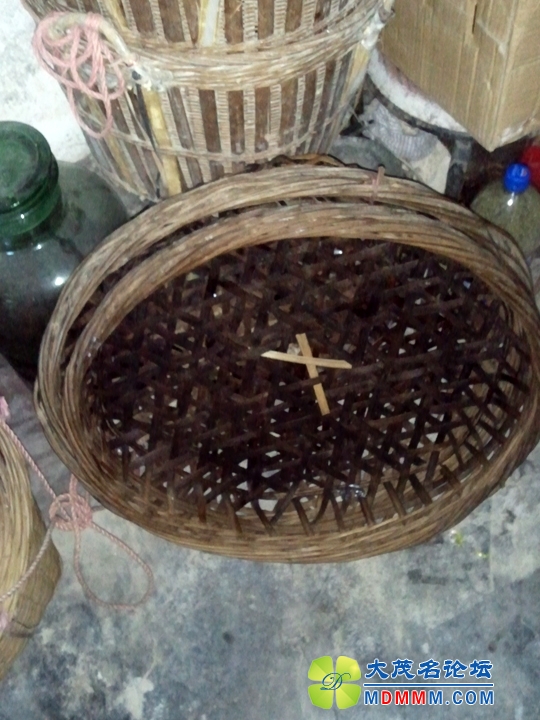 WP_002209.jpg